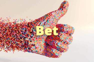 betted|BETTED Definition & Meaning .